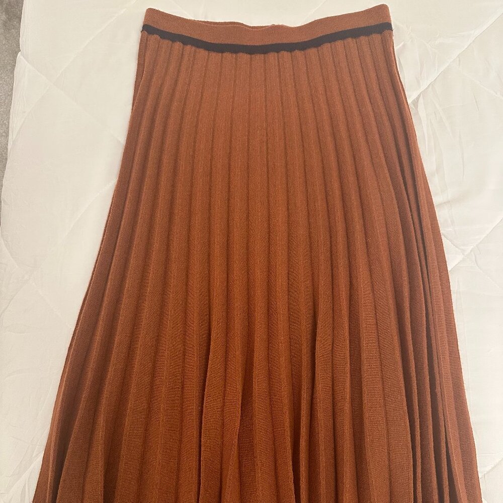 Lush rust colored skirt.